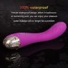 Women Pleasurable 10 Speed Vibration G Spot Vibrator